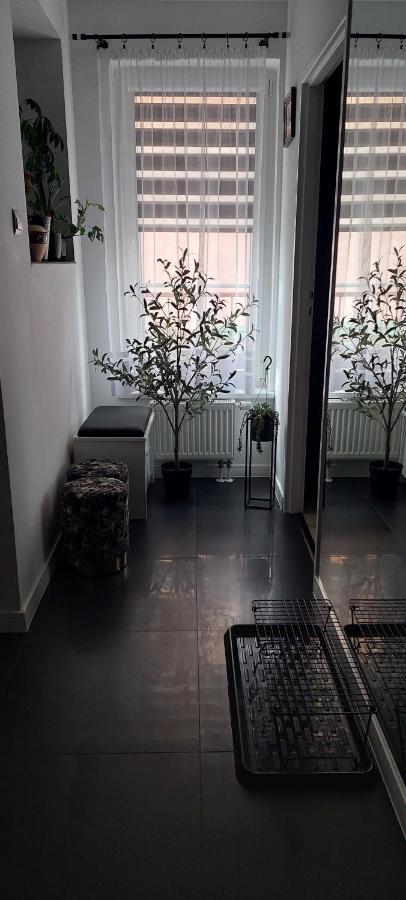 Apartamenty Magvel Στσέτσιν Εξωτερικό φωτογραφία